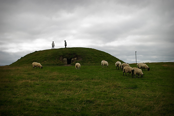 포토 JPG 해외이미지 여행 사람없음 여행객 양 역사 아일랜드 고고학 해외202004 해외포토 교육 유럽 포유류 사람 파일형식 이미지허브