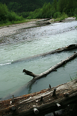 포토 JPG 해외이미지 나무 공원 자국 풍경 사람없음 목재 물 강 미국 흐름 역사 재산 황금 보호 숲 발굴 속도 통나무 지역 북쪽 알래스카 서쪽 선로 전국 해외202004 해외포토 자연요소 식물 공공시설 컨셉 북아메리카 재료 금융 방향 파일형식 이미지허브