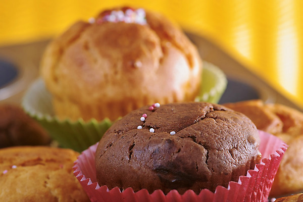 포토 JPG 해외이미지 디저트 병아리 사람없음 케이크 먹기 머핀 베이글 해외202004 해외포토 음식 빵 모션 조류 파일형식 이미지허브