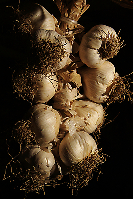 포토 JPG 해외이미지 식물 음식 백그라운드 농업 채소 재료 전구 자연 양파 건조 건강 요리 사람없음 목재 빨간색 농작물 농장 마을 정원 수확 흰색 시골 신선 그룹 다발 묶기 먹기 묘사 보따리 유기농 날것 향 내추럴 밭일 숙성 채식주의자 해외202004 해외포토 나무 웰빙 산업 컬러 모션 생태계 채식 파일형식 이미지허브