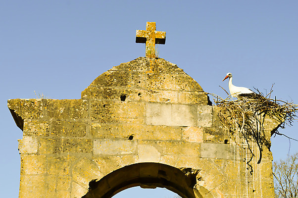 포토 JPG 해외이미지 동물 야생동물 백그라운드 신체 자연 조류 휴가 휴식 이야기 소년 사람없음 책 머리 검은색 프랑스 흰색 아기 큼 깃털 부리 양자리 계산서 외양간 고립 동물상 벌거벗은 황새 해외202004 해외포토 남자 유럽 어린이 컬러 컨셉 사람 신체부위 조형물 별자리 크기 생태계 파일형식 이미지허브