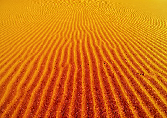 포토 JPG 해외이미지 모래 백그라운드 컨셉 오렌지 아프리카 자연 추상 건조 풍경 사람없음 글로벌 노란색 사막 황무지 모래언덕 가뭄 사하라 알제리 해외202004 해외포토 나라 컬러 무늬 과일 날씨 언덕 생태계 파일형식 이미지허브