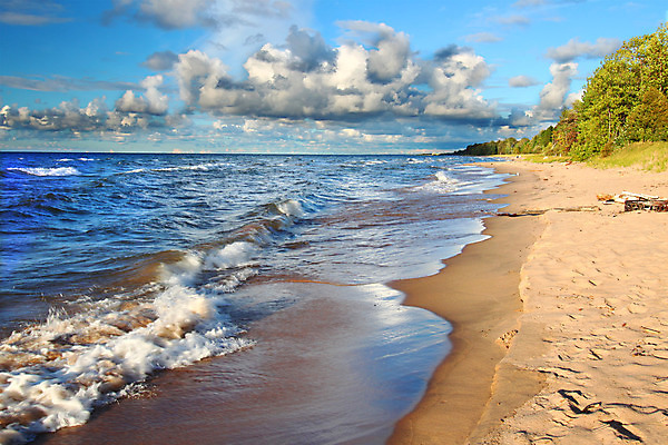포토 JPG 해외이미지 나무 구름 호수 모래 파도 여행 자연 하늘 풍경 사람없음 야외 모래사장 햇빛 환경 미국 침묵 황무지 분위기 숲 큼 생태계 장면 지역 북쪽 서식지 내추럴 감탄 생태학 우수 파라다이스 해외202004 해외포토 자연요소 식물 교육 바다 컨셉 북아메리카 태양 소리 크기 방향 절기 파일형식 이미지허브