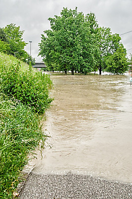 포토 JPG 해외이미지 나무 유럽 도로 파도 자연 날씨 거리 풍경 사람없음 세로 물 강 글로벌 환경 봄 손상 젖음 흐름 긴급 개울 위험 홍수 상승 내추럴 다뉴브강 재앙 소름 해외202004 해외포토 자연요소 식물 계절 감정 나라 길 바다 컨셉 교통시설 자연재해 생태계 파일형식 이미지허브