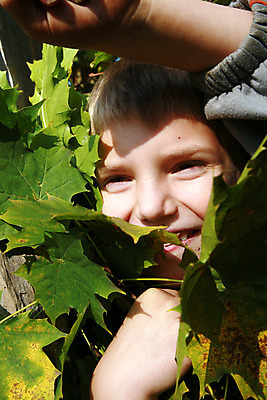 포토 JPG 해외이미지 나무 1 계절 공원 행복 아들 어린이 이동 단풍 잎 생각 가족 자연 한명 미소 웃음 앉기 소년 야외 초록색 금발 햇빛 머리 평화 가을 흰색 시골 황금 숲 명상 쉬는시간 해외202004 해외포토 식물 헤어스타일 공공시설 남자 감정 컬러 컨셉 관계 모션 휴식 표정 사람 신체부위 태양 생태계 파일형식 이미지허브