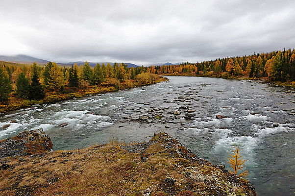 포토 JPG 해외이미지 나무 구름 계절 여행 잎 자연 하늘 산 풍경 사람없음 야외 목재 초록색 물 강 반사 노란색 환경 침묵 가을 시골 소나무 숲 땅 북극 언덕 러시아 장면 암초 내추럴 삼림지대 전국 해외202004 해외포토 자연요소 식물 유럽 컬러 재료 소리 극지방 생태계 파일형식 이미지허브