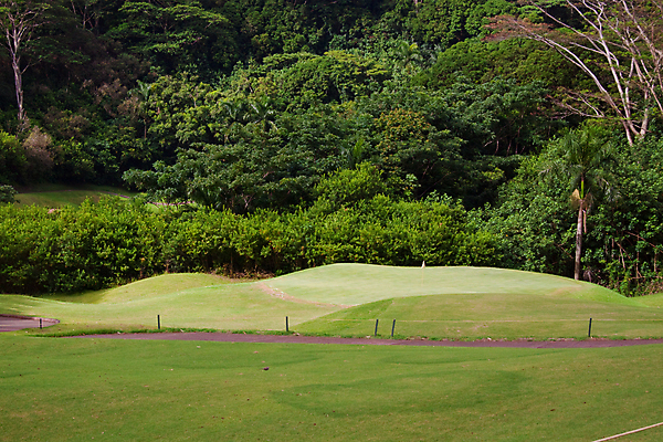 포토 JPG 해외이미지 스포츠 여행 골프 골프장 자연 풍경 사람없음 초록색 관광지 깃발 원형 휴양지 하와이 넣기 어려움 페어웨이 해외202004 해외포토 도형 컬러 스포츠시설 모션 구기 미국 장소 생태계 파일형식 이미지허브