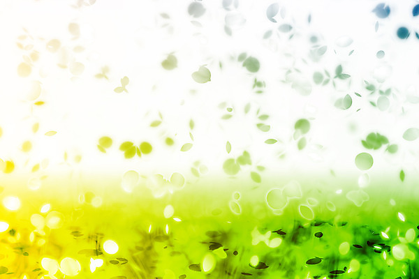 JPG 해외이미지 꽃잎 꽃 백그라운드 일러스트 사람없음 초록색 노란색 그라데이션 카피스페이스 해외202004 해외일러스트 식물 컬러 공백 파일형식 이미지허브