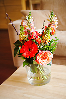 포토 JPG 해외이미지 꽃 꽃다발 유리 탁자 사람없음 내부 장식 빨간색 빛 장미 꽃병 거베라 해외202004 해외포토 식물 컬러 가구 재질 파일형식 이미지허브