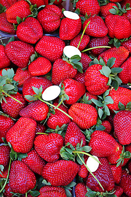 포토 JPG 해외이미지 식물 열매 음식 분홍색 잎 과일 자연 딸기 건강 사람없음 빨간색 초록색 세일 봄 흰색 신선 시장 달콤 맛 먹기 날것 문학 흙더미 숙성 해외202004 해외포토 계절 컬러 컨셉 모션 흙 생태계 파일형식 더미 이미지허브