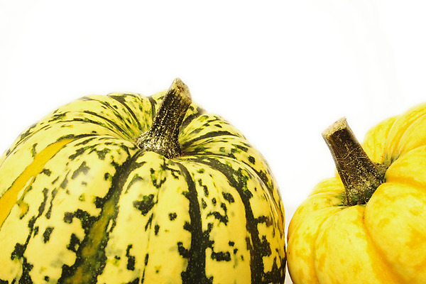 포토 JPG 해외이미지 계절 음식 다이어트 채소 호박 건강 사람없음 장식 초록색 농작물 노란색 수확 가을 신선 먹기 박 추수감사절 스쿼시 고립 채식주의자 해외202004 해외포토 기독교 스포츠 컬러 농업 모션 구기 채식 파일형식 이미지허브