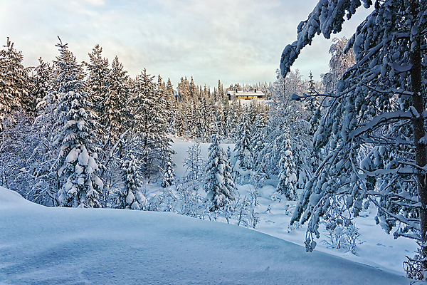 포토 JPG 해외이미지 나무 구름 여행 겨울 하늘 휴가 주택 핀란드 사람없음 흰색 숲 시골집 서리 북쪽 스칸디나비아 해외202004 해외포토 자연요소 식물 계절 컬러 북유럽 건물 방향 파일형식 이미지허브