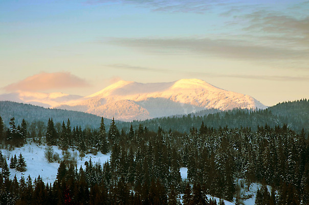 포토 JPG 해외이미지 나무 구름 계절 여행 백그라운드 크리스마스 겨울 자연 하늘 아침 동화 휴가 스키 산 풍경 사람없음 야외 목재 햇빛 일출 얼음 일몰 놀람 새벽 하이킹 추위 안개 덮개 백발 축하 오스트리아 숲 스위스 즐거움 서리 전나무 강렬 폭설 눈내림 가문비나무 해외202004 해외포토 주간 자연요소 식물 헤어스타일 기념일 감정 유럽 컨셉 재료 레저 날씨 겨울스포츠 눈_날씨 표정 태양 노을 뚜껑 자연재해 생태계 파일형식 이미지허브