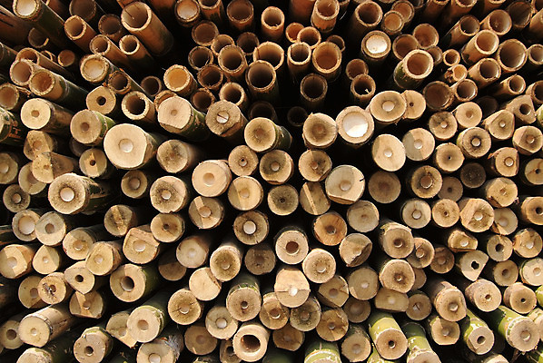 포토 JPG 해외이미지 나무 전통 산업 백그라운드 패턴 사람없음 야외 목재 갈색 쌓기 환경 에너지 화물 반지 소나무 원형 거친 그룹 주식 숲 장작 자르기 대나무 묘사 준비 질감 나무껍질 수납 자원 흙더미 다리찢기 내추럴 수목 개조 해외202004 해외포토 도형 식물 컬러 무늬 재료 장신구 모션 금융 흙 운송업 껍질 파일형식 더미 이미지허브