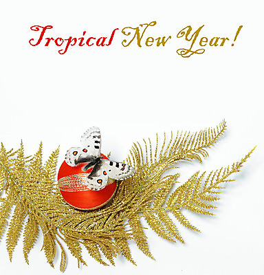 포토 JPG 해외이미지 전통 디자인 계절 백그라운드 크리스마스 겨울 전구 공 휴가 새로움 미술 사람없음 장식 빛 우주 장식볼 추위 수확 흰색 축하 신용카드 화려 황금 연도 복고 마법 엘리먼트 옛날 해외202004 해외포토 기념일 컬러 컨셉 농업 문화예술 금융 파일형식 이미지허브