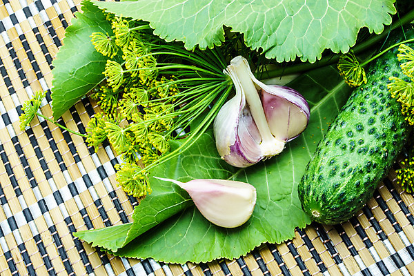 포토 JPG 해외이미지 식물 음식 백그라운드 채소 재료 자연 오이 건강 마늘 요리 사람없음 초록색 수확 시골 신선 허브 향신료 유기농 날것 피클 딜 숙성 오이피클 절임 채식주의자 핸드메이드 해외202004 해외포토 웰빙 컬러 농업 생태계 채식 향미료 파일형식 이미지허브