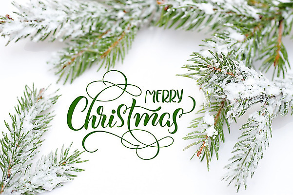 포토 JPG 해외이미지 디자인 백그라운드 잎 크리스마스 프레임 사람없음 축하 레터링 해외202004 해외포토 식물 기념일 컨셉 파일형식 이미지허브