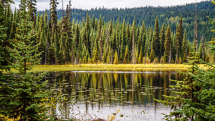 포토 JPG 해외이미지 구름 계절 호수 여행 백그라운드 자연 하늘 낚시 산 그림자 풍경 사람없음 야외 초록색 물 햇빛 반사 평화 환경 하이킹 가을 저수지 소나무 개울 숲 즐거움 해외202004 해외포토 자연요소 나무 감정 컬러 컨셉 레저 강 태양 생태계 파일형식 이미지허브