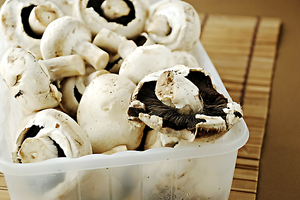 포토 JPG 해외이미지 사람없음 버섯 맛 숲 날것 식용 해외202004 해외포토 컨셉 파일형식 이미지허브