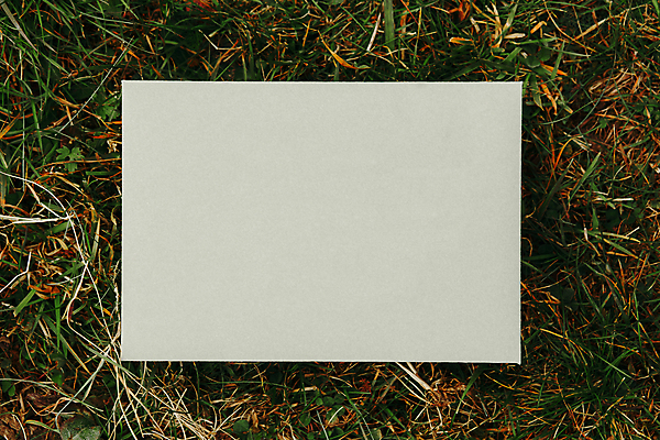 포토 JPG 해외이미지 꽃 리본 종이 프레임 타이포그라피 사람없음 책상 목업 해외202004 해외포토 식물 문자 가구 파일형식 이미지허브