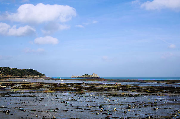 포토 JPG 해외이미지 전통 산업 문화 음식 바다 섬 자연 조류 연체동물 풍경 사람없음 야외 물 농장 껍질 굴 만 해산물 홍합 내추럴 밭일 소금물 해외202004 해외포토 자연요소 동물 농업 어패류 무척추동물 생태계 파일형식 이미지허브