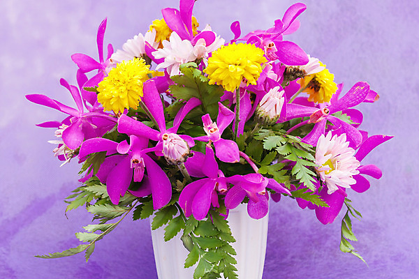 포토 JPG 해외이미지 식물 꽃잎 꽃 줄기 분홍색 백그라운드 잎 자연 휴식 아이디어 국화 선물 사람없음 장식 빨간색 초록색 노란색 보라색 스파 봄 활발 벚꽃 신선 잡기 개화 우아함 자주색 꽃집 제비꽃 향수 순수 주기 향기 장면 부드러움 아로마테라피 강렬 고립 해외202004 해외포토 계절 컬러 컨셉 모션 상점 화장품 감각 생태계 냄새 테라피 파일형식 이미지허브