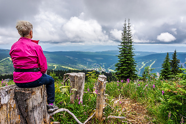 포토 JPG 해외이미지 나무 구름 라이프스타일 응시 꽃 할머니 스포츠 분홍색 여행 자연 하늘 성공 휴가 휴식 산 한명 야외 여름 컬러풀 여행객 계곡 트래킹 하이킹 자유 정상 고도 언덕 수평선 해외202004 해외포토 자연요소 식물 1 시선 계절 여자 노년 컬러 컨셉 레저 사람 생활 생태계 파일형식 이미지허브