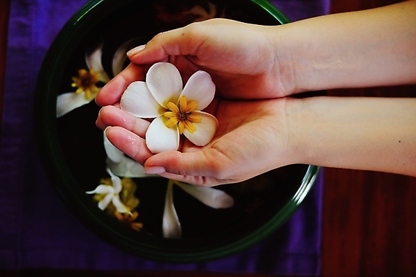 포토 JPG 해외이미지 손 꽃 들기 신체부위 물 수건 스파 손모으기 대야 해외포토 자연요소 식물 모션 사람 손짓 위생용품 파일형식 이미지허브