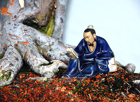 포토 JPG 해외이미지 나무 식물 잎 자연 미술 동양인 취미 사람없음 초록색 조각상 환경 일본 중국 미니어처 성장 나뭇가지 원예 분재 난쟁이 심기 해외202004 해외포토 아시아 컬러 모션 문화예술 인종 조형물 모형 생태계 파일형식 이미지허브