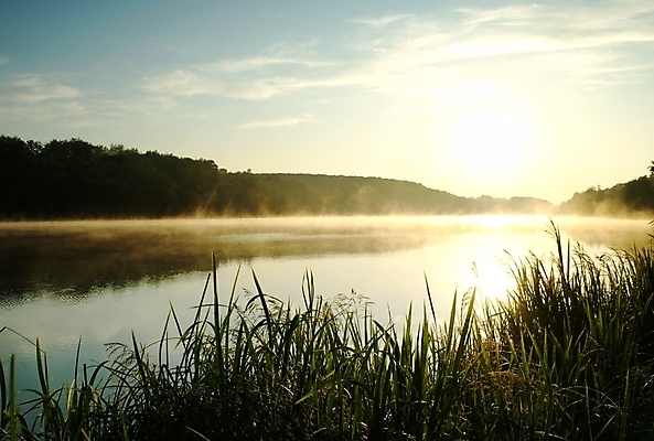 포토 JPG 해외이미지 나무 구름 실루엣 호수 여행 백그라운드 자연 하늘 아침 휴식 파노라마 풍경 사람없음 야외 물 여름 빛 컬러풀 햇빛 태양 반사 평화 일출 환경 맑음 황혼 일몰 봄 새벽 안개 시골 신선 황금 저녁 땅 속도 장면 뿌연 수평선 해외202004 해외포토 주간 자연요소 식물 계절 컬러 컨셉 날씨 촬영기법 노을 야간 생태계 파일형식 이미지허브