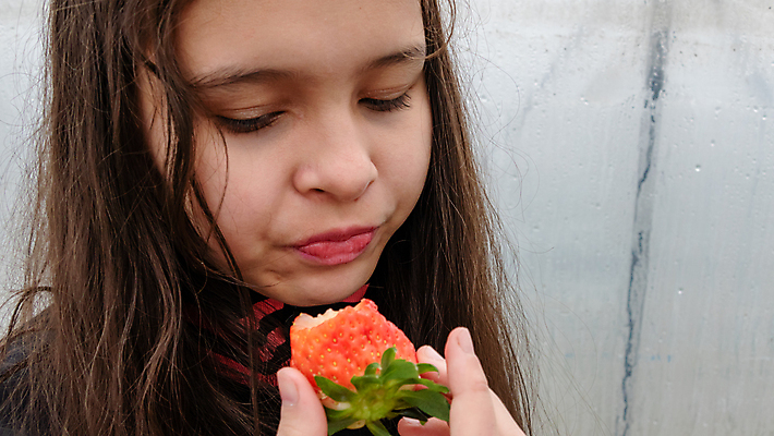 포토 JPG 해외이미지 백인 어린이 음식 다이어트 과일 딸기 실내 건강 한명 10대 식사 중국 맛 먹기 유기농 요거트 내추럴 돌봄 온실 해외202004 해외포토 서양인 1 웰빙 아시아 컨셉 모션 청소년 유제품 사람 내부 파일형식 이미지허브