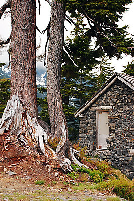 포토 JPG 해외이미지 공원 자연 주택 사람없음 야외 캠핑 시골 숲 판잣집 해외202004 해외포토 공공시설 레저 건물 생태계 파일형식 이미지허브