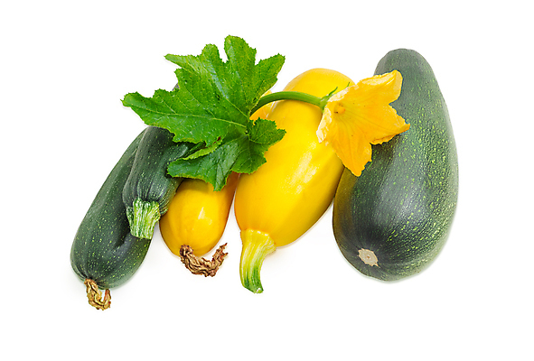 포토 JPG 해외이미지 식물 접시 꽃 음식 잎 농업 채소 호박 요리 사람없음 주방 수확 신선 가시 상품 스쿼시 고립 주키니 주키니호박 채식주의자 해외202004 해외포토 식기 산업 스포츠 구기 채식 파일형식 이미지허브