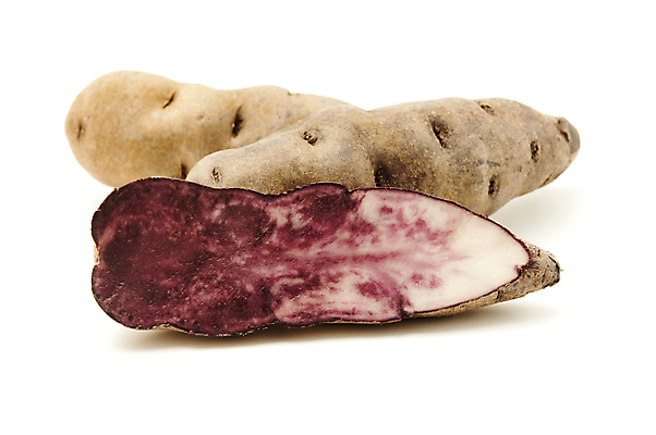 포토 JPG 해외이미지 스튜디오촬영 감자 사람없음 보라색 닫기 자르기 흰배경 날것 고립 정물화 페루 해외202004 해외포토 컬러 백그라운드 채소 모션 실내 흰색 남아메리카 그림 파일형식 이미지허브