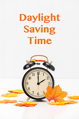 포토 JPG 해외이미지 시계 잎 오렌지 사람없음 컬러풀 햇빛 저축 가을 시간 변화 공포 조언 해외202004 해외포토 식물 계절 컬러 컨셉 과일 금융 태양 파일형식 이미지허브