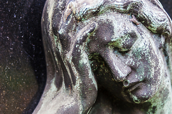 포토 JPG 해외이미지 날씨 천사 사람없음 조각상 슬픔 죽음 무덤 묘사 애도 장례 옛날 해외202004 해외포토 감정 조형물 파일형식 이미지허브