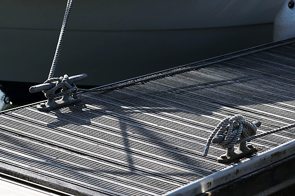 포토 JPG 해외이미지 선 밧줄 바다 요트 조류 휴가 사람없음 물 강 뱃놀이 해외202004 해외포토 자연요소 동물 줄 배_교통 전통놀이 파일형식 이미지허브