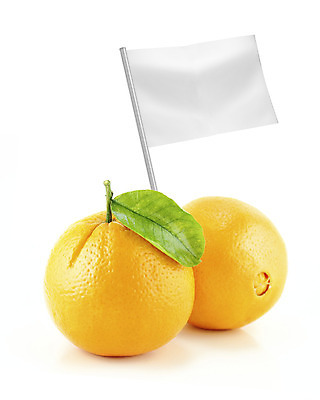 포토 JPG 해외이미지 디자인 포스터 음식 백그라운드 농업 다이어트 채소 오렌지 과일 자연 탁자 추상 건강 요리 사람없음 여름 쇼핑 농장 꼬리표 주방 흰색 시골 깃발 신선 발표 시장 농부 가격 메뉴 유기농 박 레시피 칼로리 이익 내추럴 고립 단백질 숙성 채식주의자 카피스페이스 해외202004 해외포토 직업 웰빙 계절 산업 컬러 가구 무늬 라벨 공백 생태계 채식 영양소 파일형식 이미지허브