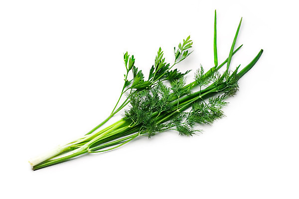 포토 JPG 해외이미지 식물 음식 백그라운드 잎 다이어트 채소 재료 자연 파슬리 건강 요리 사람없음 초록색 식사 샐러드 흰색 나뭇가지 신선 고명 양념 조미료 그룹 닫기 맛 다발 허브 향신료 묘사 유기농 날것 향기 향 고립 딜 채식주의자 해외202004 해외포토 나무 웰빙 컬러 컨셉 모션 생태계 채식 냄새 향미료 파일형식 이미지허브