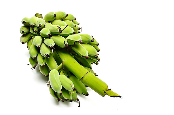 포토 JPG 해외이미지 식물 아시아 음식 줄기 백그라운드 잎 농업 다이어트 과일 재료 태국 자연 바나나 건강 사람없음 초록색 농작물 농장 수확 성장 흰색 나뭇가지 신선 그룹 다발 만족 유기농 날것 내추럴 고립 숙성 채식주의자 해외202004 해외포토 나무 웰빙 감정 나라 산업 컬러 생태계 채식 파일형식 이미지허브