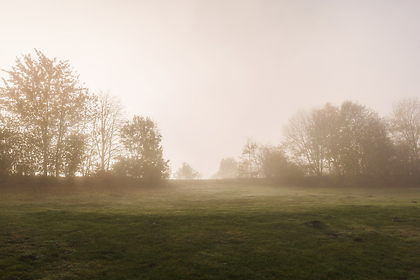 포토 JPG 해외이미지 나무 구름 계절 실루엣 백그라운드 밭 농업 오렌지 자연 하늘 아침 날씨 산 풍경 사람없음 야외 목재 초록색 여름 빛 태양 농장 우주 일출 일몰 봄 새벽 안개 시골 신선 숲 땅 속도 내추럴 뿌연 수평선 해외202004 해외포토 주간 자연요소 식물 산업 컬러 과일 재료 촬영기법 노을 생태계 파일형식 이미지허브
