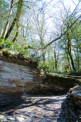 포토 JPG 해외이미지 나무 식물 손 계절 잎 자연 손잡이 이끼 사람없음 야외 초록색 울타리 상자 정원 봄 성장 칼날 닫기 발굴 원예 클립 날카로움 다듬기 돌봄 옛날 울퉁불퉁 원예사 제목 그리너리 해외202004 해외포토 직업 컬러 모션 취미 신체부위 담장 생태계 파일형식 트랜드컬러 이미지허브