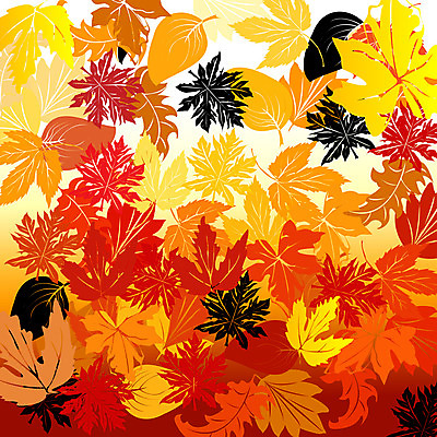 포토 JPG 해외이미지 나무 식물 디자인 계절 실루엣 백그라운드 단풍 잎 꽃무늬 오렌지 일러스트 자연 바람 추상 프레임 형상 미술 사람없음 그래픽 장식 빨간색 여름 갈색 노란색 가을 9월 11월 두루마리 심볼 그림 10월 엘리먼트 잇몸 플라타너스 해외202004 해외포토 자연요소 꽃 컬러 무늬 신체 과일 날씨 문화예술 촬영기법 날짜 생태계 파일형식 이미지허브