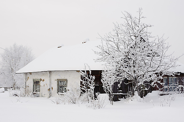 포토 JPG 해외이미지 나무 구름 계절 여행 백그라운드 크리스마스 겨울 자연 하늘 아침 날씨 조명 새로움 산 주택 풍경 사람없음 야외 목재 빛 울타리 햇빛 태양 농장 환경 냉동 얼음 추위 흰색 시골 정상 저녁 숲 연도 언덕 서리 전나무 눈보라 내추럴 산악지대 옛날 폭설 해외202004 해외포토 주간 자연요소 식물 기념일 컬러 컨셉 농업 재료 눈_날씨 건물 담장 야간 자연재해 생태계 파일형식 이미지허브