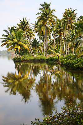 포토 JPG 해외이미지 나무 문화 호수 여행 자연 하늘 열대 손바닥 풍경 사람없음 초록색 물 파란색 강 컬러풀 보트 인도인 코코넛 남쪽 이국적 해외202004 해외포토 자연요소 외국인 식물 손 컬러 배_교통 과일 동양인 방향 생태계 파일형식 이미지허브