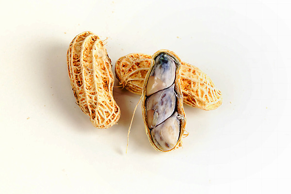 포토 JPG 해외이미지 식물 전통 음식 다이어트 채소 재료 자연 건조 건강 요리 씨앗 사람없음 갈색 노란색 식사 샐러드 견과류 껍질 흰색 신선 그룹 아침식사 굽기 먹기 피부 오브젝트 유기농 질감 날것 땅콩 내추럴 점심식사 고립 끓이기 단백질 채식주의자 해외202004 해외포토 웰빙 컬러 모션 신체부위 구이 생태계 채식 영양소 파일형식 이미지허브