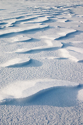 포토 JPG 해외이미지 백그라운드 겨울 바람 사람없음 추위 흰색 부식 질감 눈보라 해외202004 해외포토 자연요소 계절 컬러 날씨 눈_날씨 파일형식 이미지허브