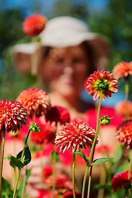 포토 JPG 해외이미지 백인 꽃 채소 한명 성인 취미 빨간색 금발 정원 수확 작업 자르기 수집 원예 해외202004 해외포토 서양인 식물 1 헤어스타일 컬러 농업 모션 사람 파일형식 이미지허브