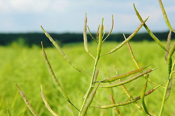 포토 JPG 해외이미지 사람없음 해외202004 해외포토 파일형식 이미지허브