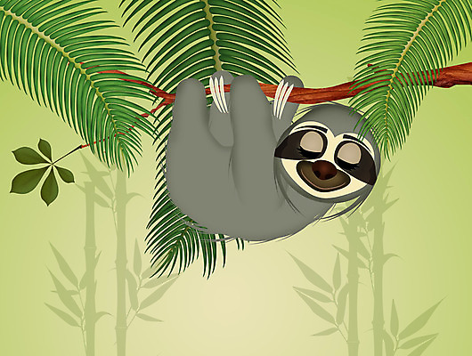 포토 JPG 해외이미지 나무 동물 일러스트 포유류 자연 털 매달리기 동물원 사람없음 야외 일몰 나뭇가지 잠 숲 만화 사파리 느림 해외202004 해외포토 식물 모션 노을 생태계 파일형식 이미지허브